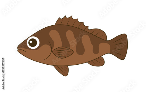 メバルのベクターイラスト - 根魚・煮付け食材