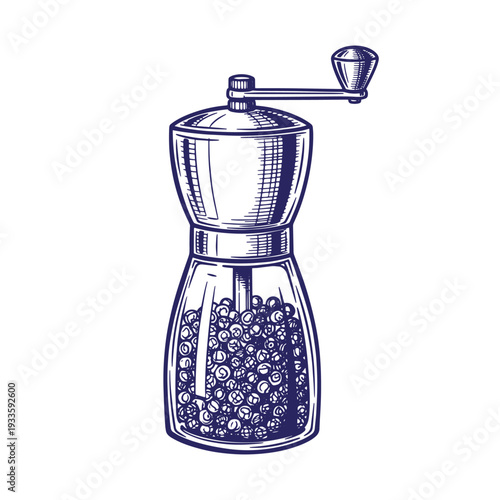 illustration of a pepper mill with peppercorns inside for grinding  kitchen tool
