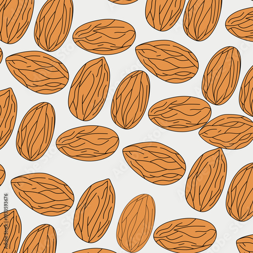 Almond Nuts Isolated – Healthy Almond Seed, Natural Superfood Ingredient.Perfect for food packaging, nutrition design, health promotion, and stock content related to wellness and organic products.