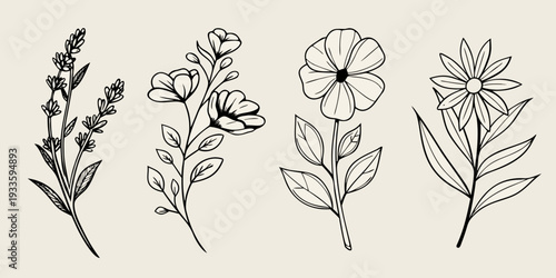 Delicate floral line art arrangement of various blooming wildflowers