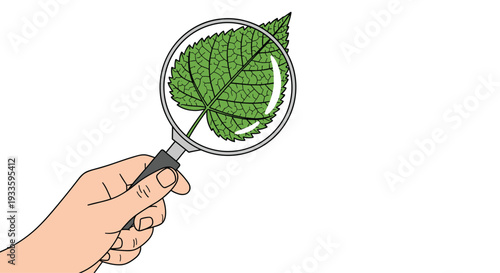 A human hand holds a black-framed magnifying glass over a single green textured leaf, showing its magnified surface.