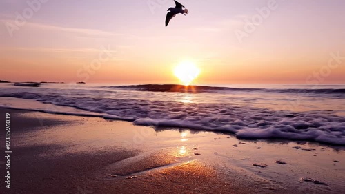 Tranquil sunrise over ocean waves with bird in flight reflecting on sand