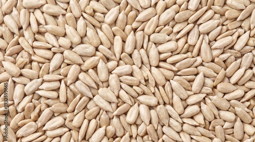 Top View of Raw Sunflower Seeds – Natural Hulled Kernels Rich in Protein and Healthy Fats, Ideal for Snacking, Baking, and Plant Based Nutrition Background