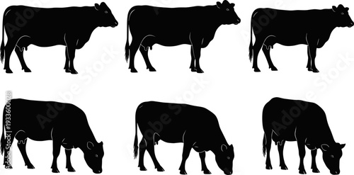 Cow silhouettes collection, cattle farm animal vector illustration, grazing livestock black silhouette set isolated agriculture design element