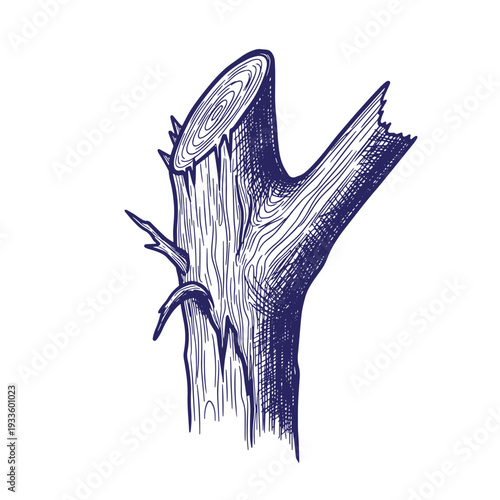 Illustration of a cut tree stump with visible wood grain and branches  tree stump with cut top and side branch