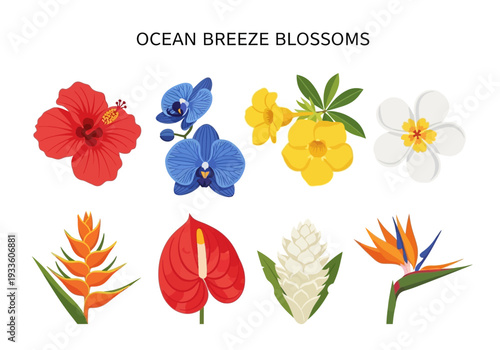 Beautiful tropical flower illustrations for your creative projects, featuring vibrant colors and exotic designs