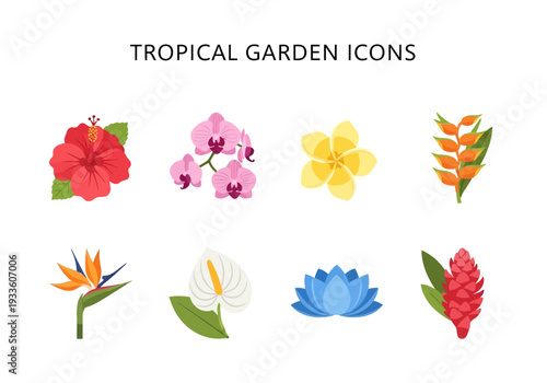 Set of tropical garden flower icons, featuring hibiscus, orchid, plumeria, heliconia, bird of paradise, anthurium, lotus, and ginger flower