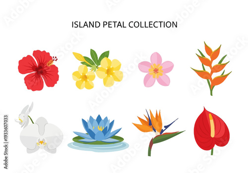 A vibrant collection of exotic tropical flowers including hibiscus, orchids, lotus, and anthurium, perfect for nature and floral designs