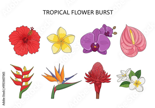 A vibrant collection of tropical flowers, including hibiscus, plumeria, orchids, and anthurium, arranged in a decorative pattern