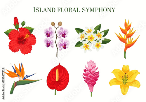 Vibrant Collection of Tropical Flowers, Including Hibiscus, Orchids, Plumeria, Bird of Paradise, Anthurium, Ginger, and Lily