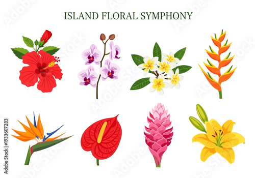 An exquisite collection of vibrant tropical flowers, showcasing the beauty and diversity of island flora