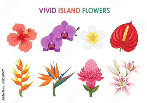 Vivid Island Flowers Collection Hibiscus, Orchid, Plumeria, Anthurium, Heliconia, Bird of Paradise, Ginger, Lily