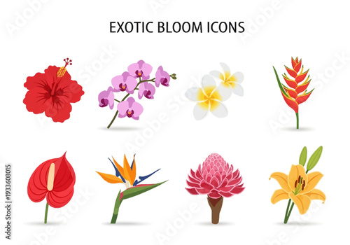 Collection of vibrant exotic flower icons perfect for tropical themes, botanical illustrations, and travel designs