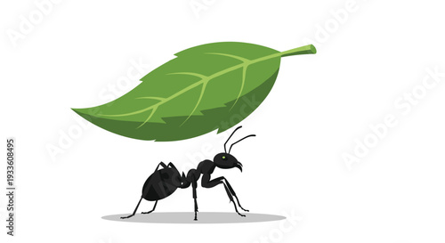 A black ant with visible eyes and segmented body carries a large, vibrant green leaf on its back, positioned centrally on a plain white background.