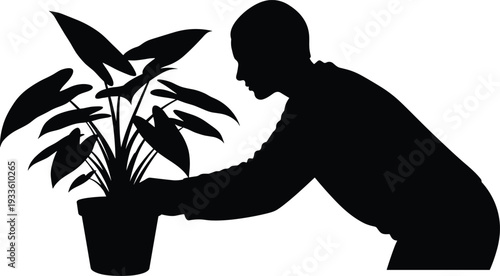 Silhouette of person tending potted plant with broad leaves, bending forward in action pose, symbolizing gardening, plant care, nature appreciation, and indoor greenery.