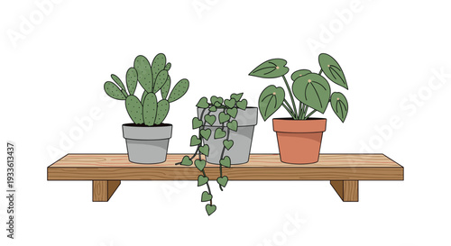 A colorful illustration presents three distinct potted plants, including a cactus and a trailing vine, arranged on a sturdy wooden shelf.