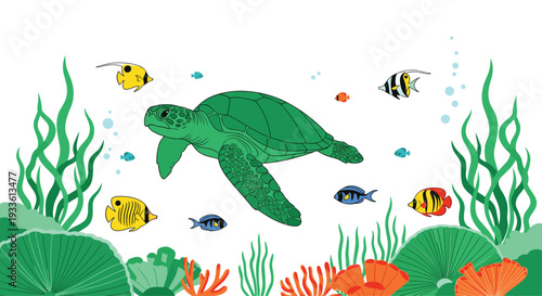 A lively colored illustration features a large green sea turtle swimming gracefully amidst dense green seaweed and colorful fish.