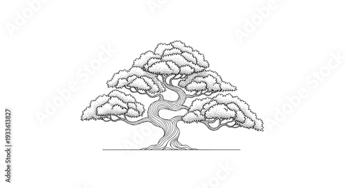 A meticulously detailed black and white stippled line art illustration of a broad, mature bonsai tree with twisting branches.