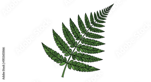 A richly textured dark green illustration of a single fern frond, with each leaflet intricately filled with small patterns.