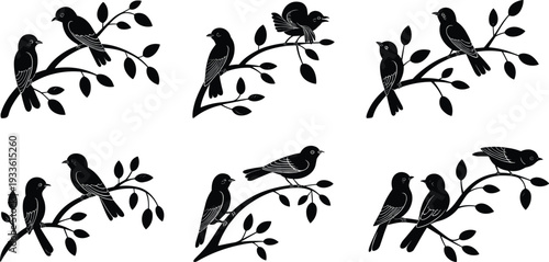 Detailed Bird Silhouettes on Tree Branches with Leaves, Black Vector Collection of Perched Songbirds Isolated on White Background Decorative Nature Set
