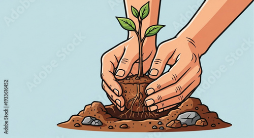 Hands planting young green seedling in soil with rocks