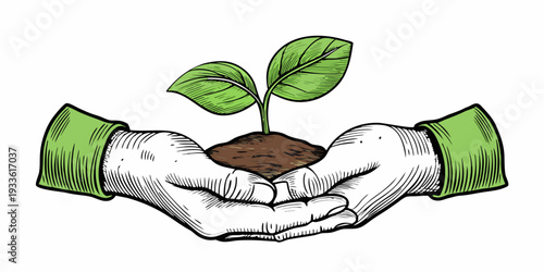 Hands gently cradling a small plant sprout emerging from soil