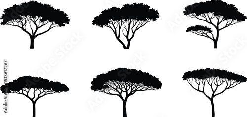 Six Black Silhouettes of African Acacia Trees with Bushy Canopies African tree nature