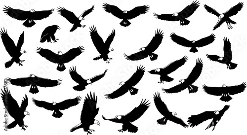 Majestic Eagle Silhouettes: Soaring Symbol of Freedom and Power in Black  White