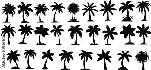 Tropical palm tree silhouettes collection isolated on white background, black vector icons set, summer beach design elements, exotic island nature clipart bundle