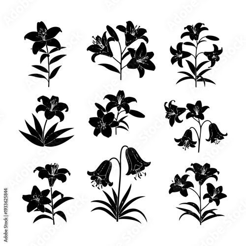 Elegant botanical silhouette collection featuring various lily and bellflower designs, perfect for springtime projects and nature-inspired themes