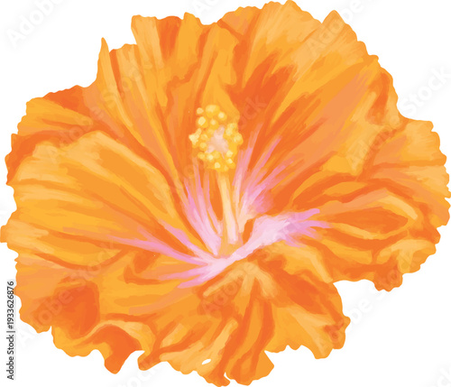 Hibiscus Flower Botanical Tropical Painting Floral Illustration