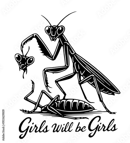 Praying mantis eating fly with feminist quote