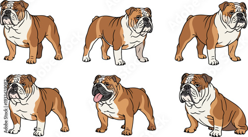 Set of six bulldog illustrations in various poses