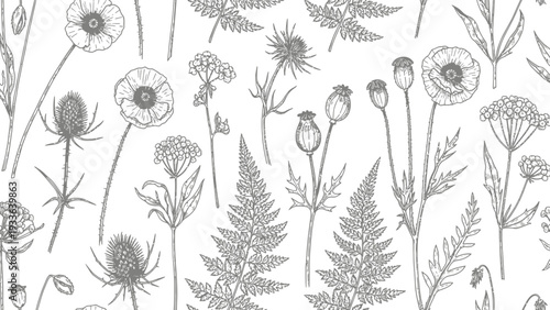 Botanical Floral Line Drawings.
