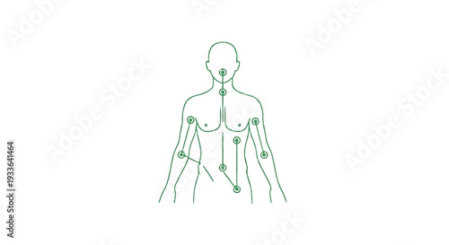 Human Body Lymphatic System Diagram Outline.