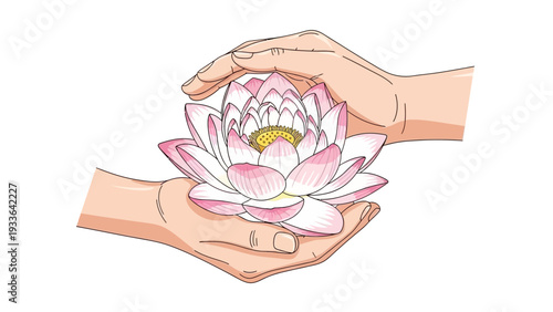 Hands Holding Pink Lotus Flower.