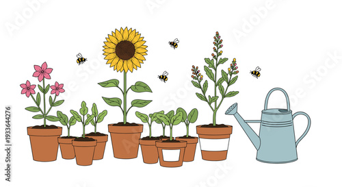 Sunflower and garden plants growing in terracotta pots as bumblebees fly around the vibrant flowers during a sunny spring day.
