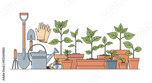 Row of young green plants growing in terracotta pots beside various gardening tools like a shovel and watering can.