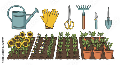Gardening equipment set with watering can tools and planted vegetable rows showing sunflowers carrots and daisies.