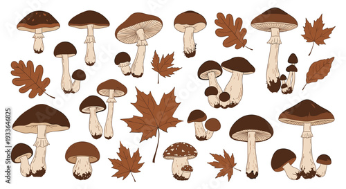 Autumn forest collection featuring various wild mushrooms, toadstools, and fallen maple and oak leaves in warm brown tones for fall.