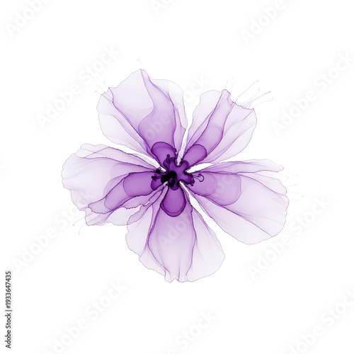 Beautiful translucent purple flower with delicate petals