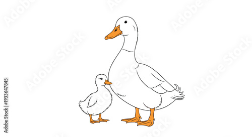 Simple and sweet illustration of a large white mother duck standing next to her small duckling against a clean white background.