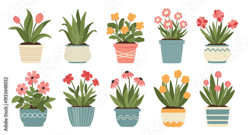 Assortment of indoor house plants and blooming flowers in decorative ceramic pots arranged in two rows against a clean white background.
