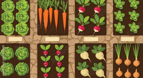 Top-down view of organized vegetable garden plots containing rows of lettuce, carrots, radishes, and onions in dark soil with stone paths.