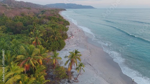 Forward aerial movement over tropical palm trees revealing sandy beach and calm ocean coastline