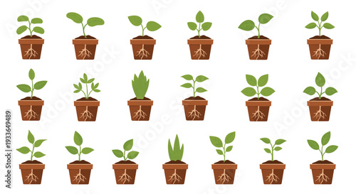 Grid of eighteen different plant seedlings in brown pots showing detailed green leaves and healthy root systems in soil.