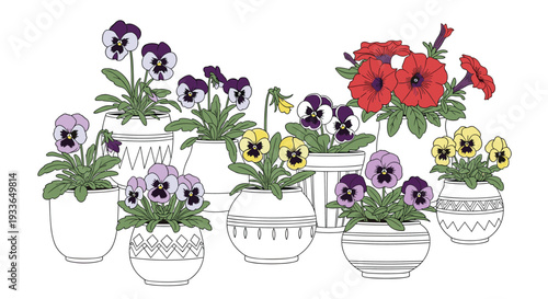 Collection of assorted pansies and petunias in various colors planted in decorative white patterned ceramic pots.