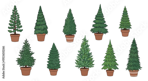 Detailed set of different evergreen pine and fir trees planted in brown clay pots, perfect for winter or holiday decor illustrations.