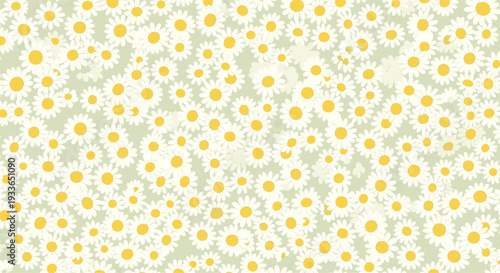Dense and beautiful floral pattern of white daisies with yellow centers packed tightly together for a summer or spring background.