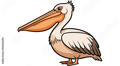 Cartoon Pelican Illustration with Large Beak and White Feathers.